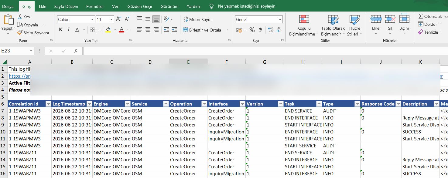 Excel Export View