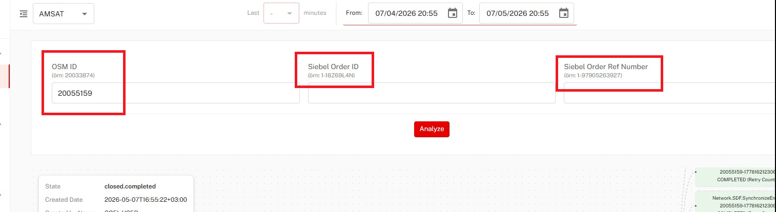 Single Order Query Interface